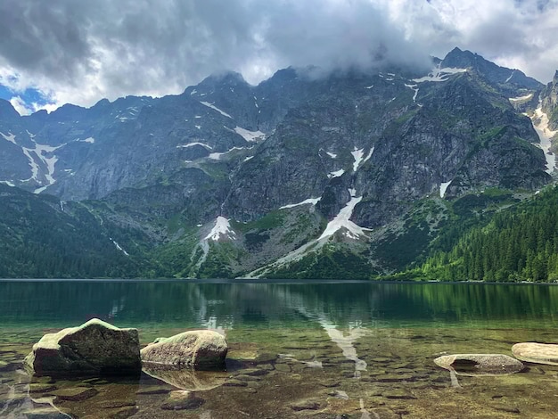 有道翻译安卓离线下载教程+官网链接解析 有道翻译安卓离线下载教程+官网链接解析 一