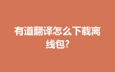 有道翻译怎么下载离线包? 二