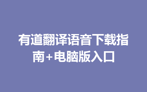 有道翻译语音下载指南+电脑版入口 二