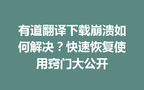 有道翻译下载崩溃如何解决？快速恢复使用窍门大公开 二