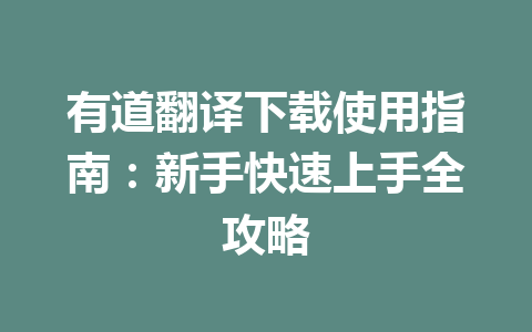 有道翻译下载使用指南：新手快速上手全攻略 二